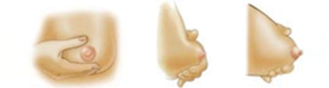 breastfeeding: How to Hand Express